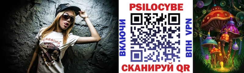 Купить закладки  Короча  Псилоцибиновые грибы Psilocybine cubensis 