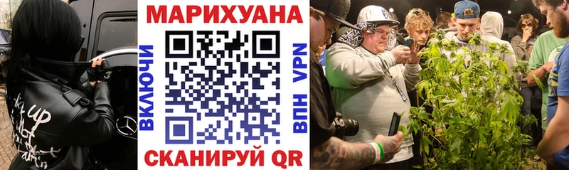 Купить  Короча  Марихуана сатива 